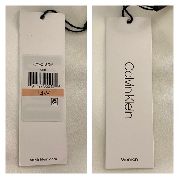 Calvin Klein Short Sleeve Ivory Illusion Dress - Picture 12 of 12